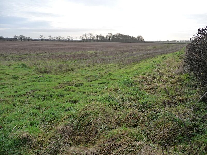 File:Anchor Plain, looking south-east - geograph.org.uk - 4768011.jpg