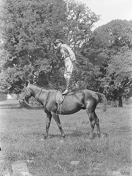 File:Animals on the Home Front, 1914-1918 Q30927.jpg