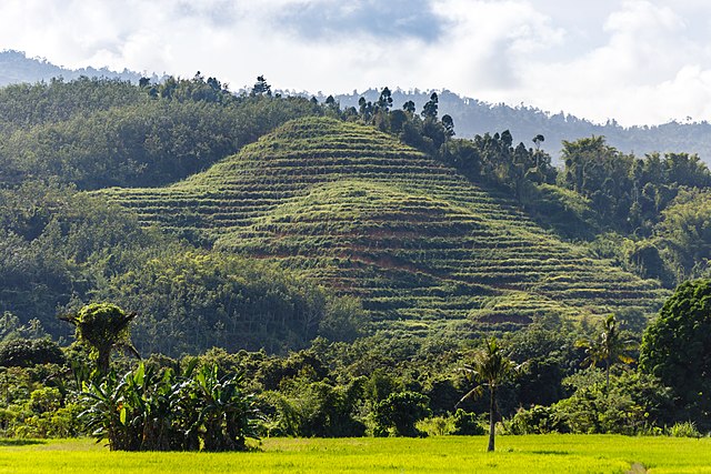 640px-Apin-Apin_Sabah_Hill-shaped-for-agriculture-01.jpg (640×427)