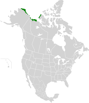 Descrierea imaginii Arctic tundra coast map.svg.