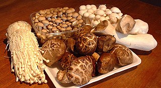 <span class="mw-page-title-main">Shimeji</span> Mushroom