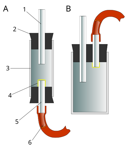 昆虫採集 Wikiwand