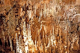 La « forêt de stalagmites ».