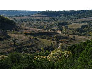 Balcones (6701324325).jpg