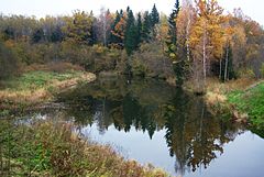 Bartova terp Salantū ė Skouda