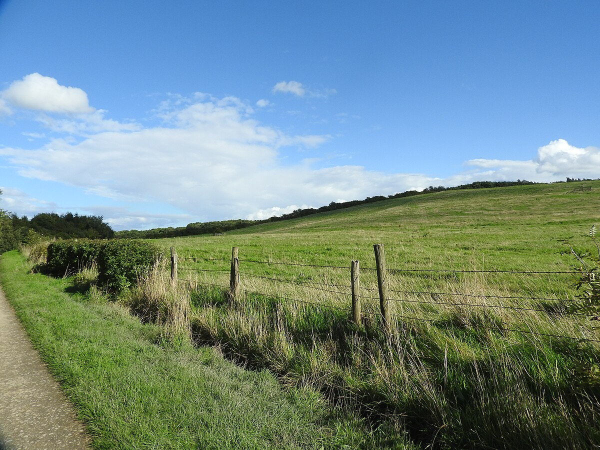 1 country park. Bestwood Country Park. Бествуд Кантри парк Англия. Bestwood.