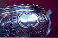 Bisse-Challoner crests on a silver teapot - 200602.jpg