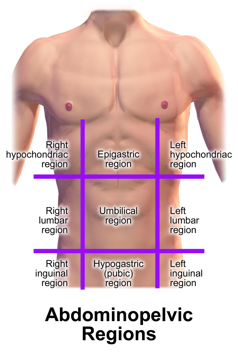 Defined anatomic locations of the suprapubic area (A), groin (B), and