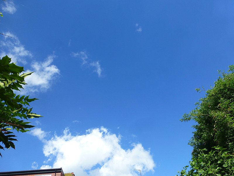 File:BlueSky-P1380608 (28615964002).jpg