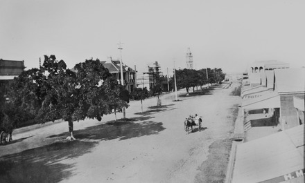 Weeping figs, circa 1920 Bourbong Street, Bundaberg, circa 1920.tiff