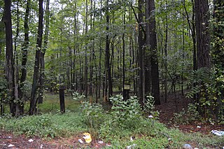 Bruton Parish Poorhouse Archeological Site Archaeological site in Virginia, United States