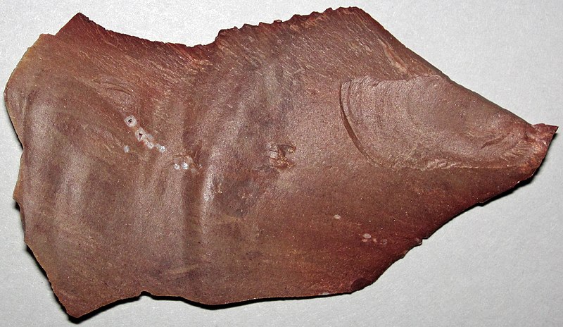 File:Buffalo River Flint (attributed to the Ft. Payne Formation, Lower Mississippian; Tennessee, USA) 3 (31998238515).jpg