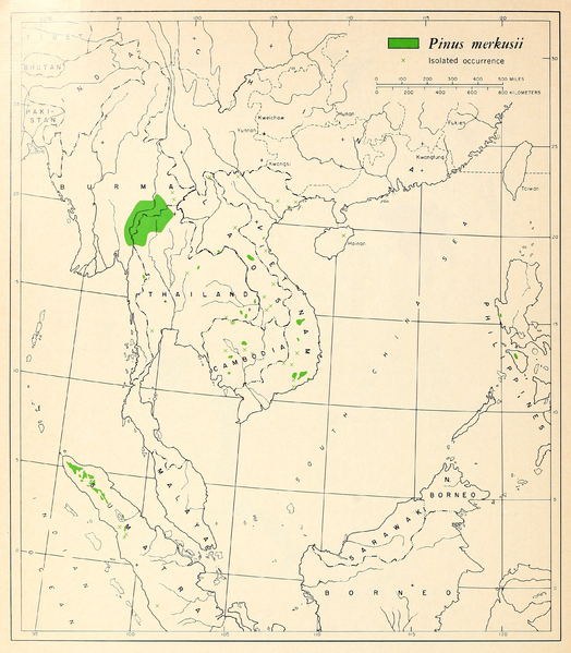 File:CL-39 Pinus merkusii range map.png