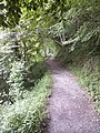 Camí del coll de Lizarrusti a l'embassament de Lareo. Camí lleuger ideal per fer un passeig matinal.Lizarrustitik Lareoara bidea.