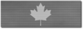 Canada Silver Ribbon.png