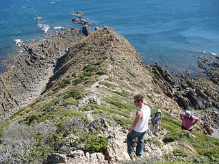 Cape Liptrap point in Australia