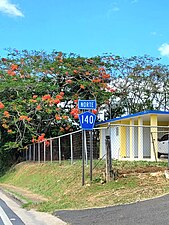 Carretera PR-140, Barceloneta, Puerto Rico.jpg