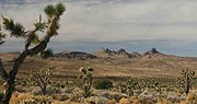 Vignette pour Castle Mountains National Monument