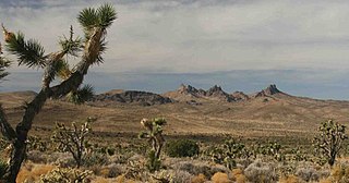 Castle Mountains National Monument protected area in California