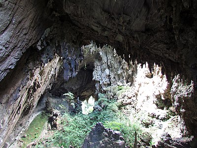 Jardim suspenso