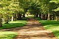 Drive to Cawdor castle, Left - parking, Right - Golf course 9 hole