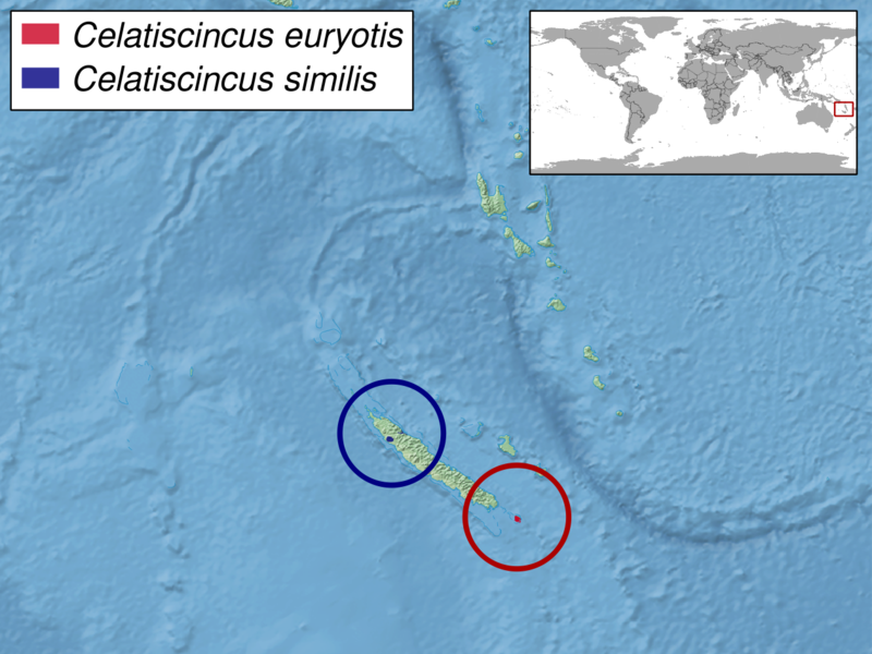 File:Celatiscincus sp. distribution.png