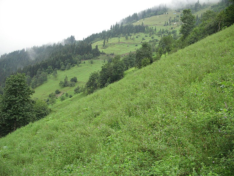 File:Cennetin güzel yüzü by ismail soytekinoğlu - panoramio.jpg