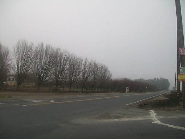 Tule fog settled on an orchard in Stanislaus County in late December.