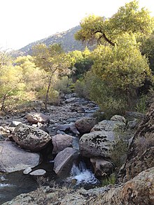 Chatkalskiy nature reserve.jpg