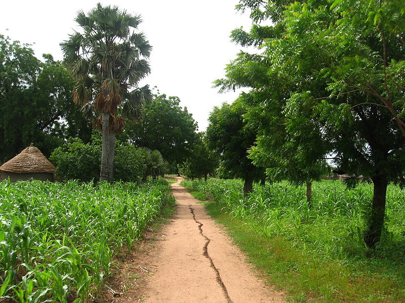 File:Chemin Broui.jpg