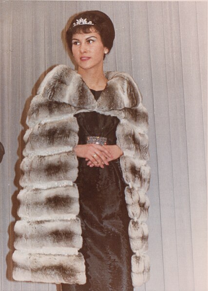 File:Chinchilla-cape, Fur Fair1964 Frankfurt Main Internationale Pelzmesse.jpg