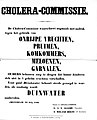 Cholera epidemie 1866.jpg