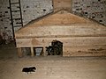 Thumbnail for File:Clock cover and dead bird, Ickworth Church - geograph.org.uk - 1989935.jpg