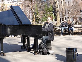 Хаггинс в парке Вашингтон-сквер, март 2016 г.