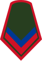 Colombia-Army-OR-4.svg