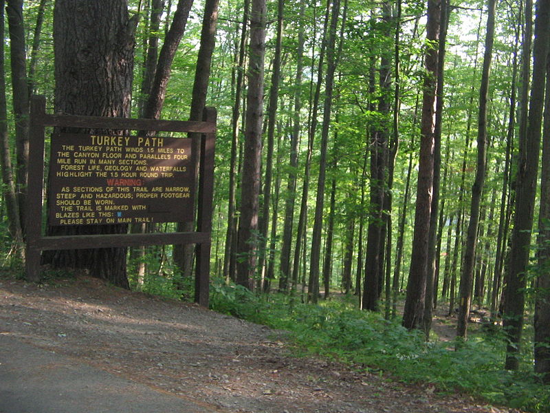 File:Colton Point State Park Turkey Path.jpg