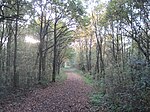 Copthall Railway Walk and Copthall Old Common