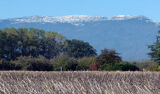 Crêt de la Neige