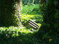 Fallen grave at the abandoned Jewish cemetery