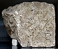 D4, Middle Persian Script, Inscribed Stone Block of Paikuli Tower.jpg