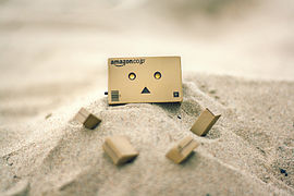 Danbo en la playa (8150190721) .jpg