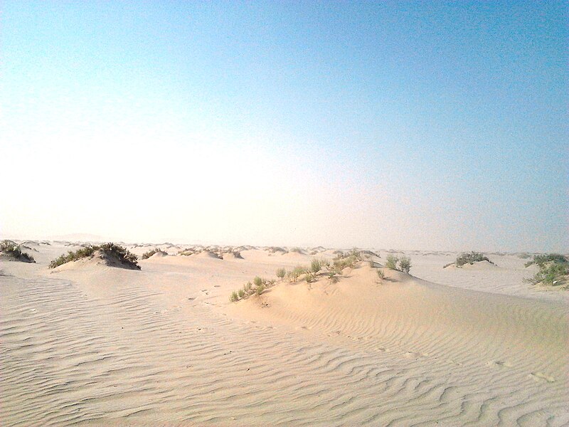 File:Desert of Qatar.jpg