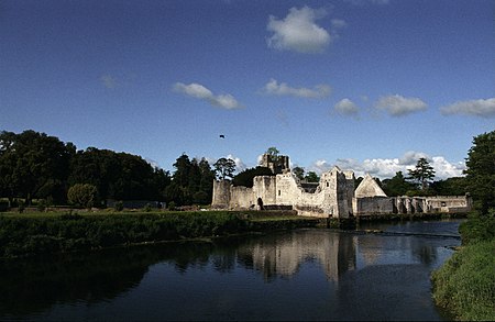 English: Desmond Castle, Adare, County Limerick, Ireland Polski: Ruiny zamku Desmond w Adare, w hrabstwie Limerick, w Irlandii