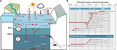 Dissolved Organic Carbon