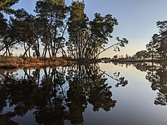 August: Nationalpark Divjaka-Karavasta