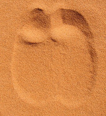 Footprint in dry sand
