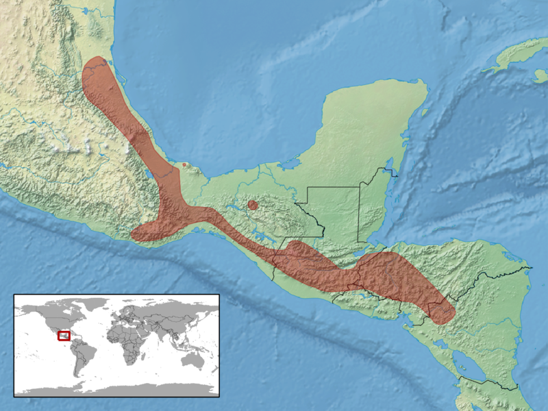 Datei:Drymobius chloroticus distribution.png