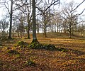 9325 2022-01-28 fredag Ekhagen kring Getaberget, Väsmestorps naturreservat, Sörby sn, Falköpings kn, Västergötland.