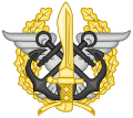 Emblem of the Joint Special Operations Command (MCOE)