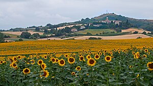 Habiter à Fenouillet-du-Razès